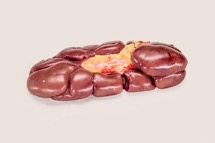 Cow Kidney