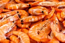 Buy Prawns in Lagos